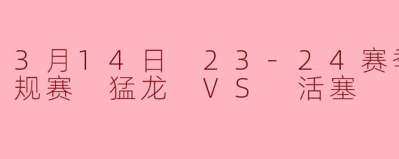3月14日 23-24赛季NBA常规赛 猛龙 VS 活塞